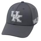 Youth Top Of The World Kentucky Wildcats Bolster Mesh Cap, Boy's, Grey Other