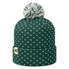 Adult Top Of The World Michigan State Spartans Firn Beanie, Adult Unisex, Green