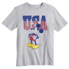 Boys 8-20 Disney's Mickey Mouse American Classic Tee, Size: Large, Grey