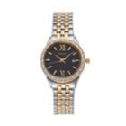 Seiko Women's Crystal Two Tone Stainless Steel Watch - Sur684, Size: Small, Multicolor