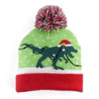 Boys 4-20 Holiday Light-up Pom-pom Hat, Dark Green