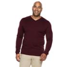 Big & Tall Apt. 9&reg; Modern-fit Wool-blend Merino V-neck Sweater, Men's, Size: Xl Tall, Drk Purple