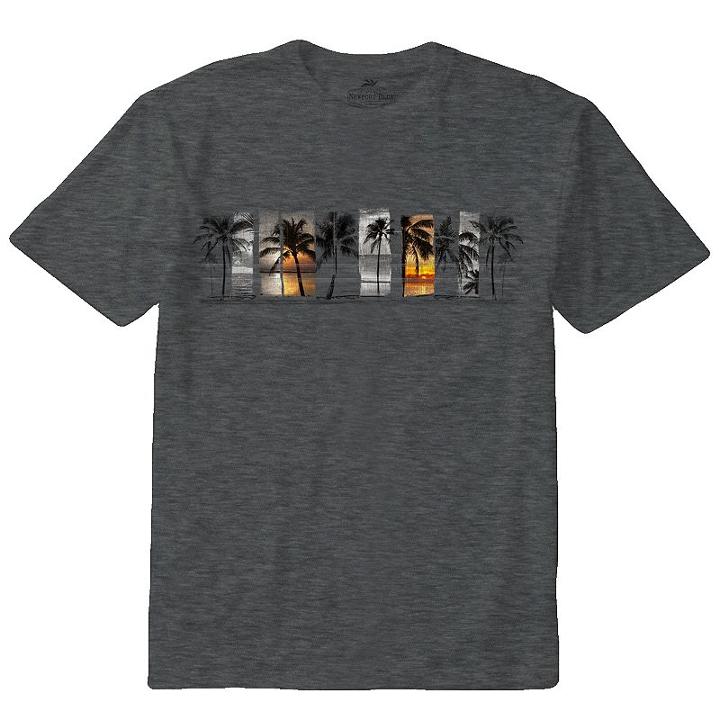 Men's Newport Blue Sunset Palm Tree Band Tee, Size: Medium, Dark Grey