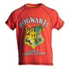 Boys 8-20 Harry Potter Hogwarts Tee, Size: Medium, Red