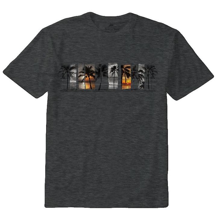 Men's Newport Blue Sunset Palm Tree Band Tee, Size: Xl, Dark Grey