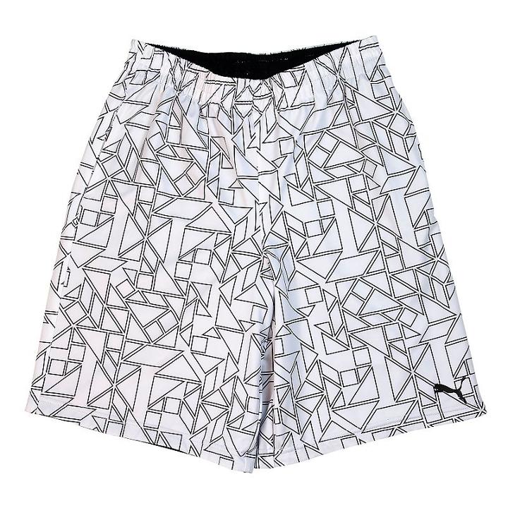 Boys 4-7 Puma 2-in-1 Prism Shorts, Boy's, Size: 4, Black