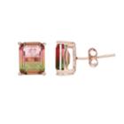 Rose Gold Tone Watermelon Cubic Zirconia Rectangle Stud Earrings, Women's, Pink