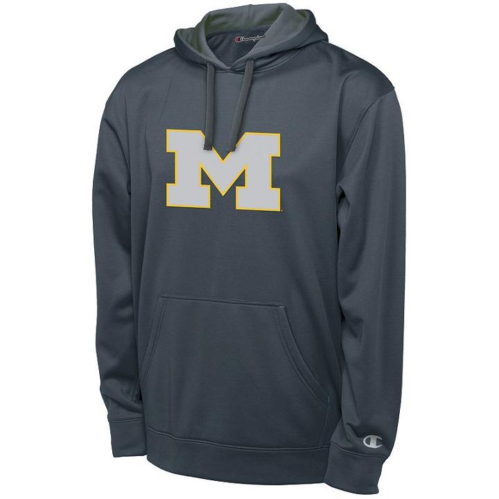 Men's Champion Michigan Wolverines Pullover Hoodie, Size: Large, Grey