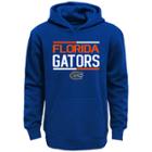 Boys 8-20 Florida Gators Fleece Hoodie, Size: S 8, Blue Other