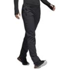 Women's Adidas Outdoor Terrex Multi-purpose Pants, Size: Xs, Grey
