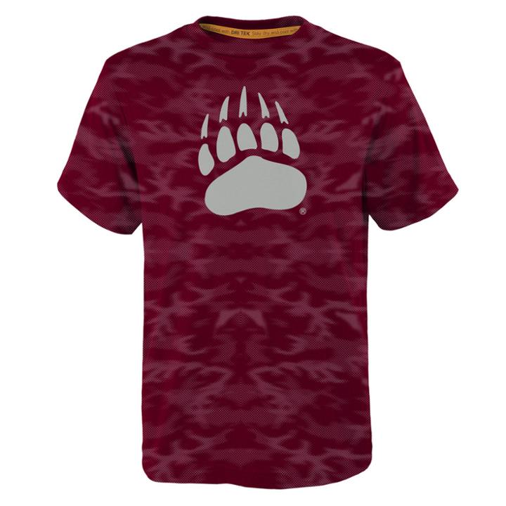 Boys 8-20 Montana Grizzlies Vector Dri-tek Tee, Size: M 10-12, Dark Red