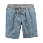 Toddler Boy Carter's Dinosaur Printed Shorts, Size: 5t, Blue