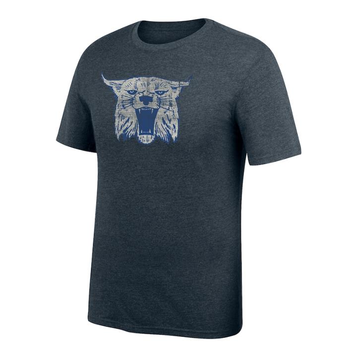 Men's Kentucky Wildcats Distressed Team Logo Tee, Size: Xl, White