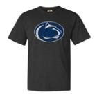 Men's Penn State Nittany Lions Logo Comfort Tee, Size: Large, Ovrfl Oth