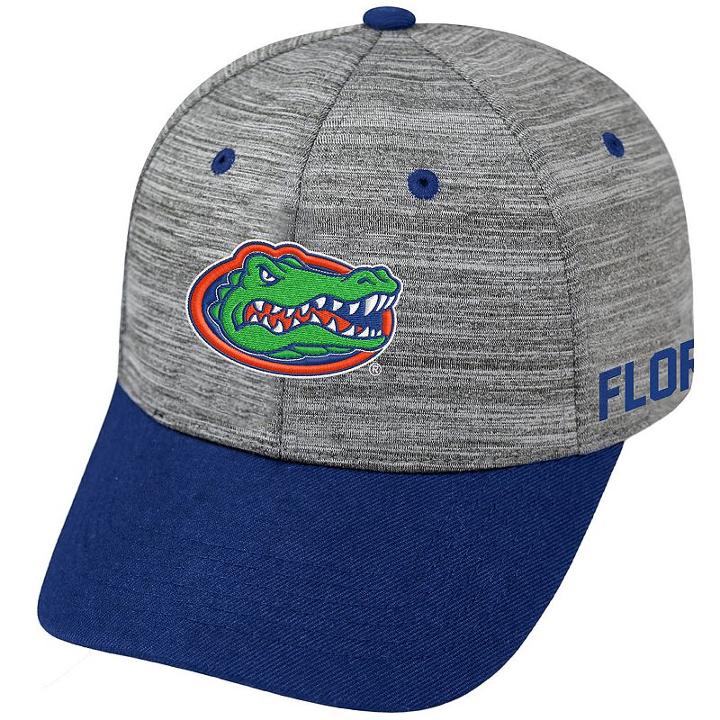 Adult Florida Gators Backstop Snapback Cap, Men's, Med Grey