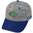 Adult Florida Gators Backstop Snapback Cap, Men's, Med Grey
