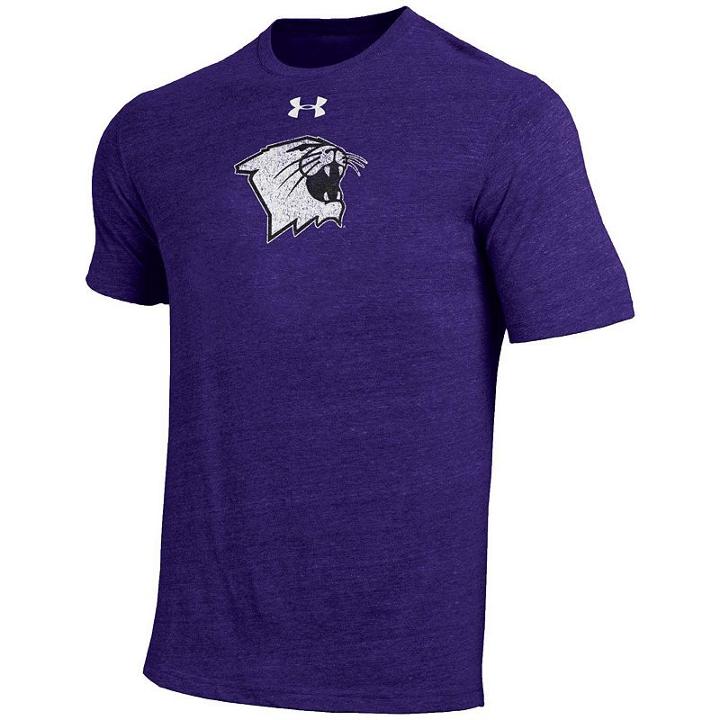 Men's Under Armour Northwestern Wildcats Triblend Tee, Size: Small, Ovrfl Oth