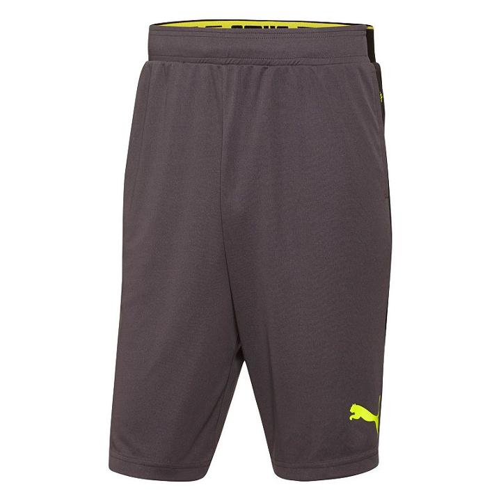 Men's Puma Tilted Formstriped Shorts, Size: Xxl, Grey Other