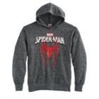 Boys 8-20 Spiderman Graphic Hoodie, Size: Xl, Grey (charcoal)