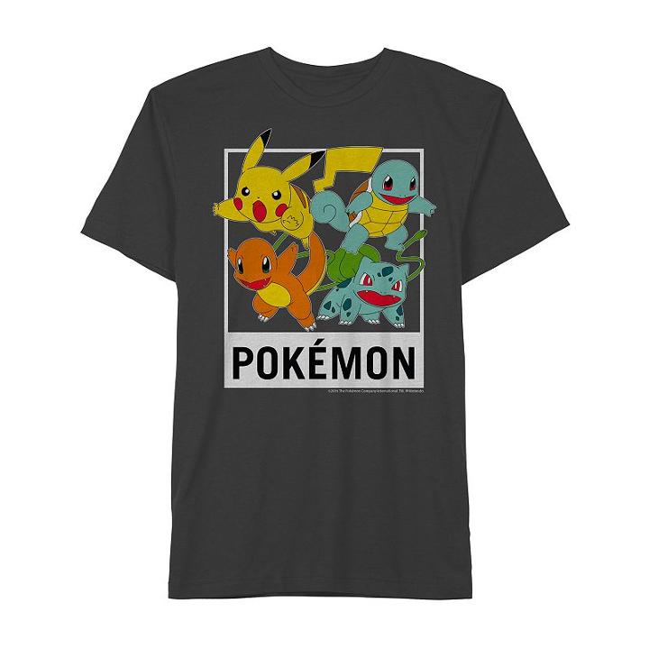 Boys 8-20 Pokemon Team Tee, Boy's, Size: Large, Dark Grey