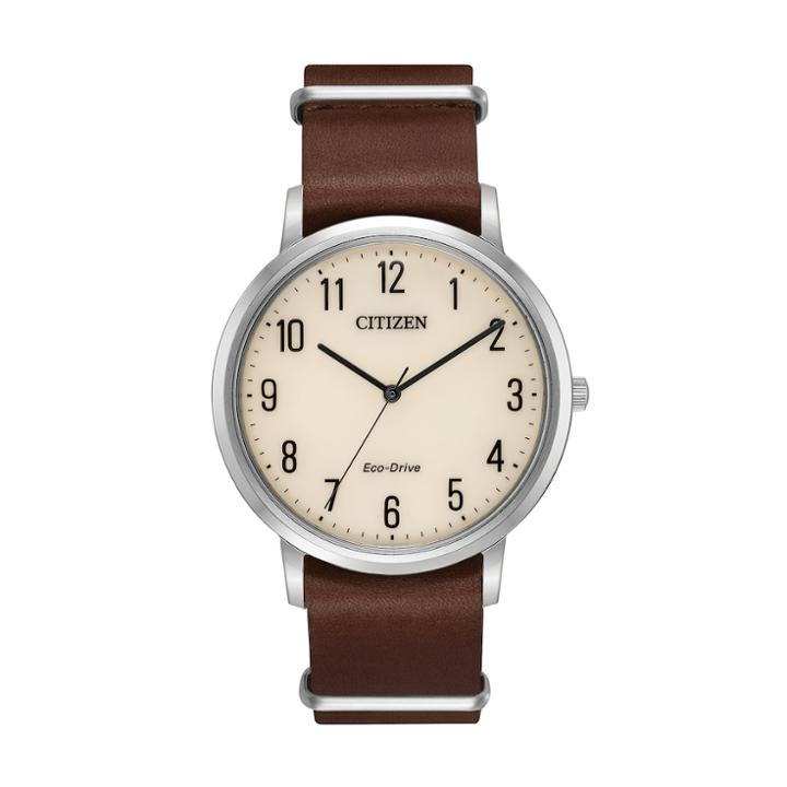 Citizen Eco-drive Men's Chandler Leather Watch, Size: Large, Brown