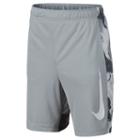 Nike, Boys 8-20 Legacy Shorts, Boy's, Size: Medium, Grey (charcoal)