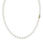 14k Gold Akoya Cultured Pearl Necklace, Women's, White