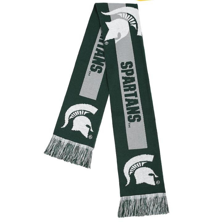 Adult Forever Collectibles Michigan State Spartans Big Logo Scarf, Women's, Multicolor
