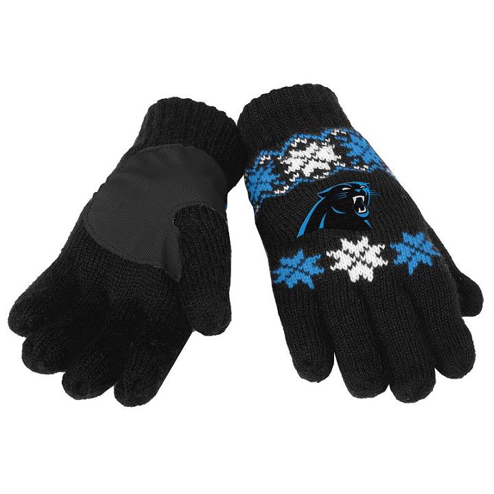 Adult Forever Collectibles Carolina Panthers Lodge Gloves, Black