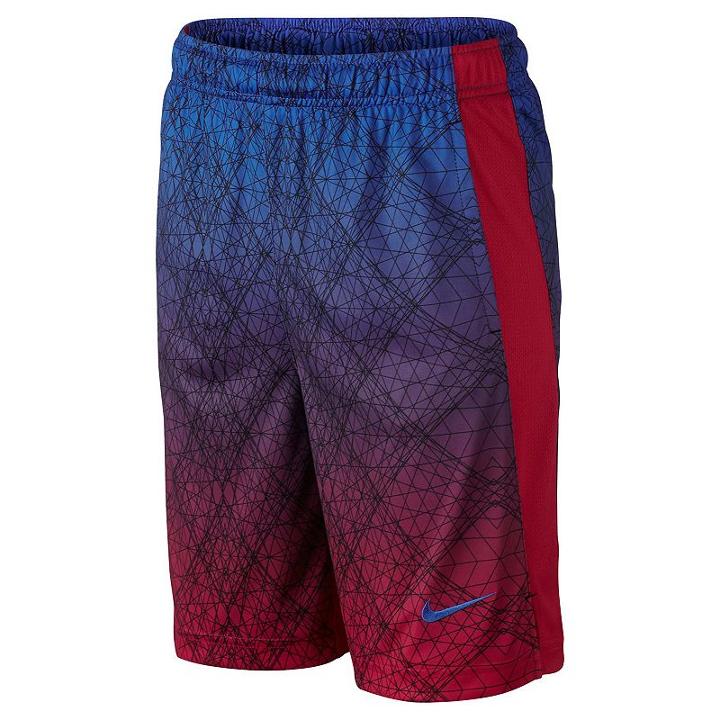 Boys 8-20 Nike Legacy Shorts, Boy's, Size: Medium, Blue Other
