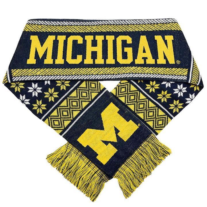 Forever Collectibles Michigan Wolverines Lodge Scarf, Adult Unisex, Multicolor