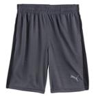 Boys 4-7 Puma Athletic Shorts, Size: 4, Grey Other