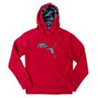 Boys 4-7 Puma Big Cat Performance Hoodie, Boy's, Size: 4, Brt Red