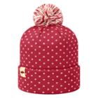 Adult Top Of The World Arkansas Razorbacks Firn Beanie, Adult Unisex, Other Clrs