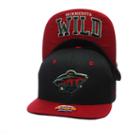 Youth Zephyr Minnesota Wild Undercard Snapback Cap, Boy's, Green