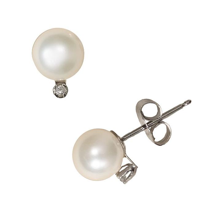 14k White Gold Akoya Cultured Pearl Stud Earrings, Women's