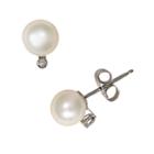 14k White Gold Akoya Cultured Pearl Stud Earrings, Women's