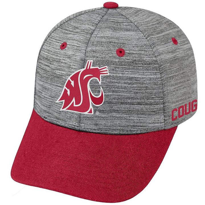 Adult Washington State Cougars Backstop Snapback Cap, Men's, Med Grey