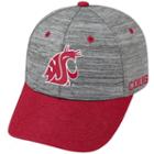 Adult Washington State Cougars Backstop Snapback Cap, Men's, Med Grey