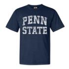 Men's Penn State Nittany Lions Marquee Comfort Tee, Size: Large, Blue (navy)
