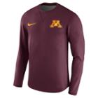 Men's Nike Minnesota Golden Gophers Modern Crew Tee, Size: Large, Red (maroon)