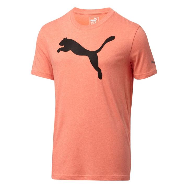 Boys 8-20 Puma Big Cat Tee, Size: Large, Red