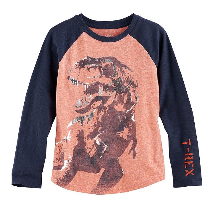 Boys 4-7x Sonoma Goods For Life&trade; Raglan Slubbed Graphic Tee, Size: 4, Drk Orange