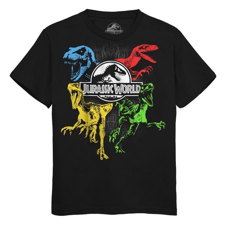 Boys 8-20 Jurassic World Dinosaur Tee, Size: Medium, Black