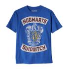 Boys 8-20 Harry Potter Quidditch Tee, Boy's, Size: Xl, Blue Other