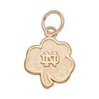 Logoart Notre Dame Fighting Irish 14k Gold Logo Charm, Adult Unisex, Yellow