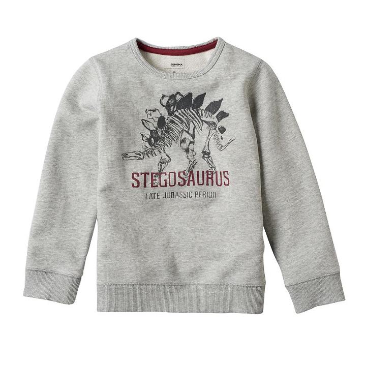 Boys 4-7x Sonoma Goods For Life&trade; French Terry Graphic Crewneck Pullover, Boy's, Size: 7, Med Grey