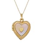 Everlasting Gold 10k Gold Mother-of-pearl Heart Locket Necklace, Women's