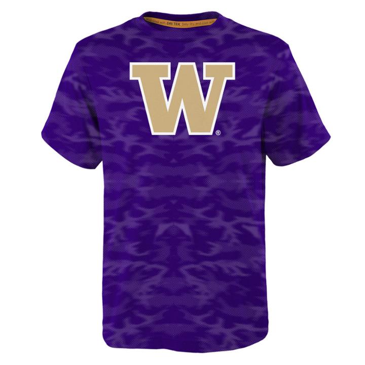 Boys 8-20 Washington Huskies Vector Dri-tek Tee, Size: L 14-16, Purple