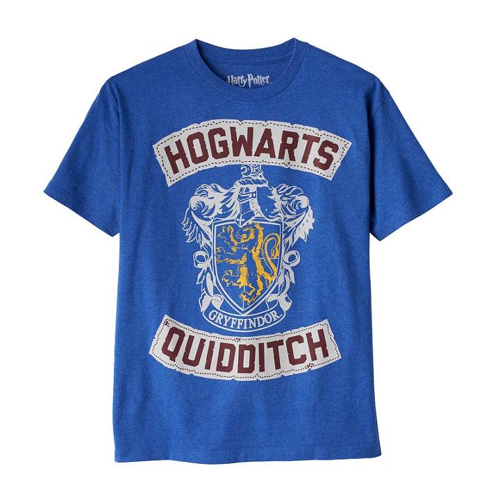 Boys 8-20 Harry Potter Quidditch Tee, Boy's, Size: Large, Blue Other